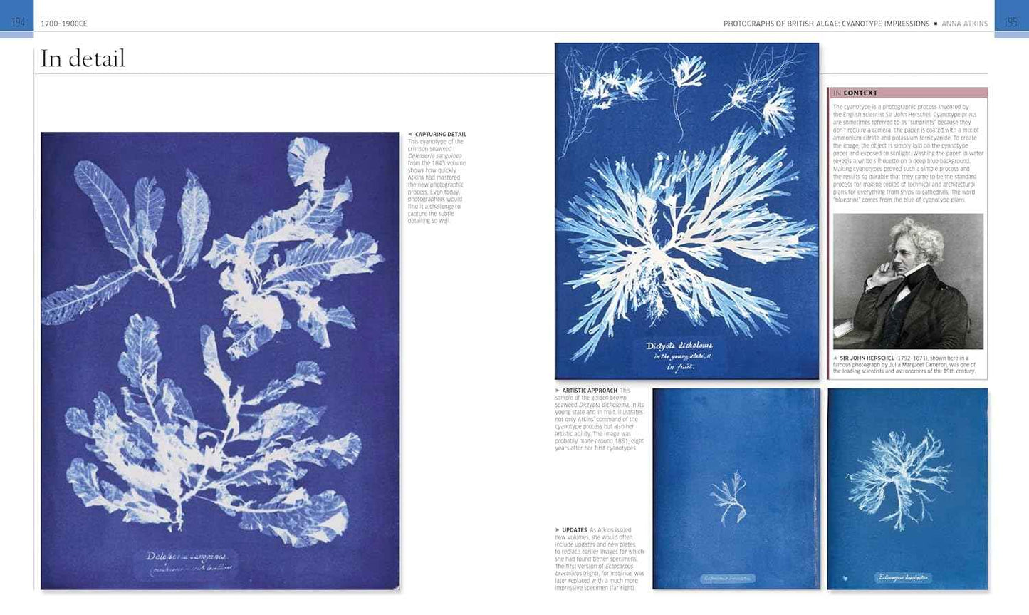 Remarkable Books: The World's Most Historic and Significant Works (DK History Changers)