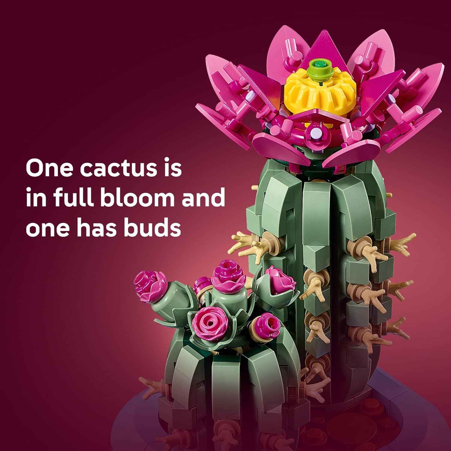 LEGO Botanicals Flowering Cactus Building Toy - Crafting Kit for Girls & Boys, Ages 9+ - Cactus Room Decor for Display for Bedroom or Book Shelf - Gift Idea for Birthdays - 11509