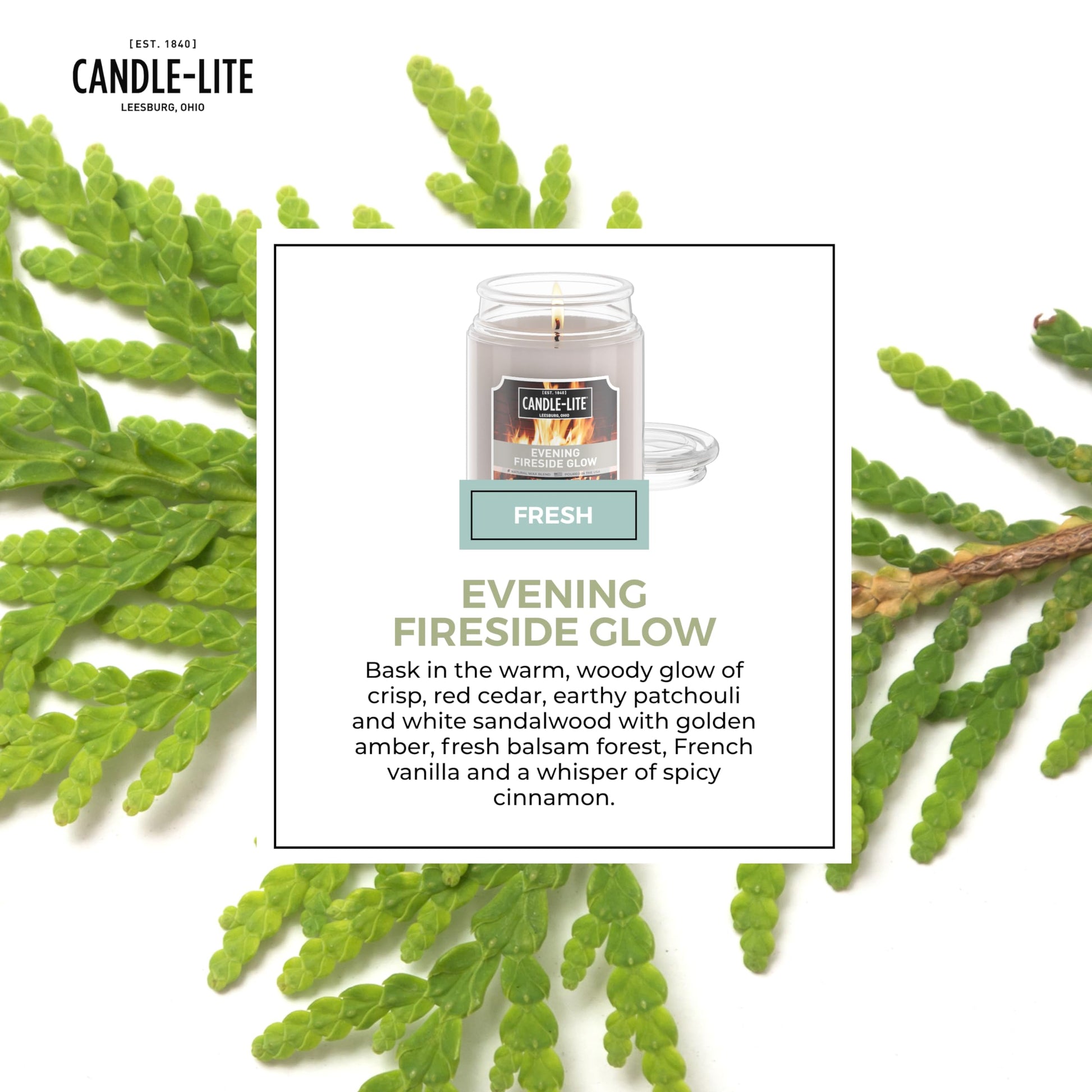 Candle-lite Fall Scented Candles, Creamy Vanilla Swirl, 18 oz Jar, Proudly Poured in The USA, Aromatherapy Candle, Single-Wick with 110 Hours of Burn Time, Perfect for Creating a Relaxing Ambiance jlhbookstore.store