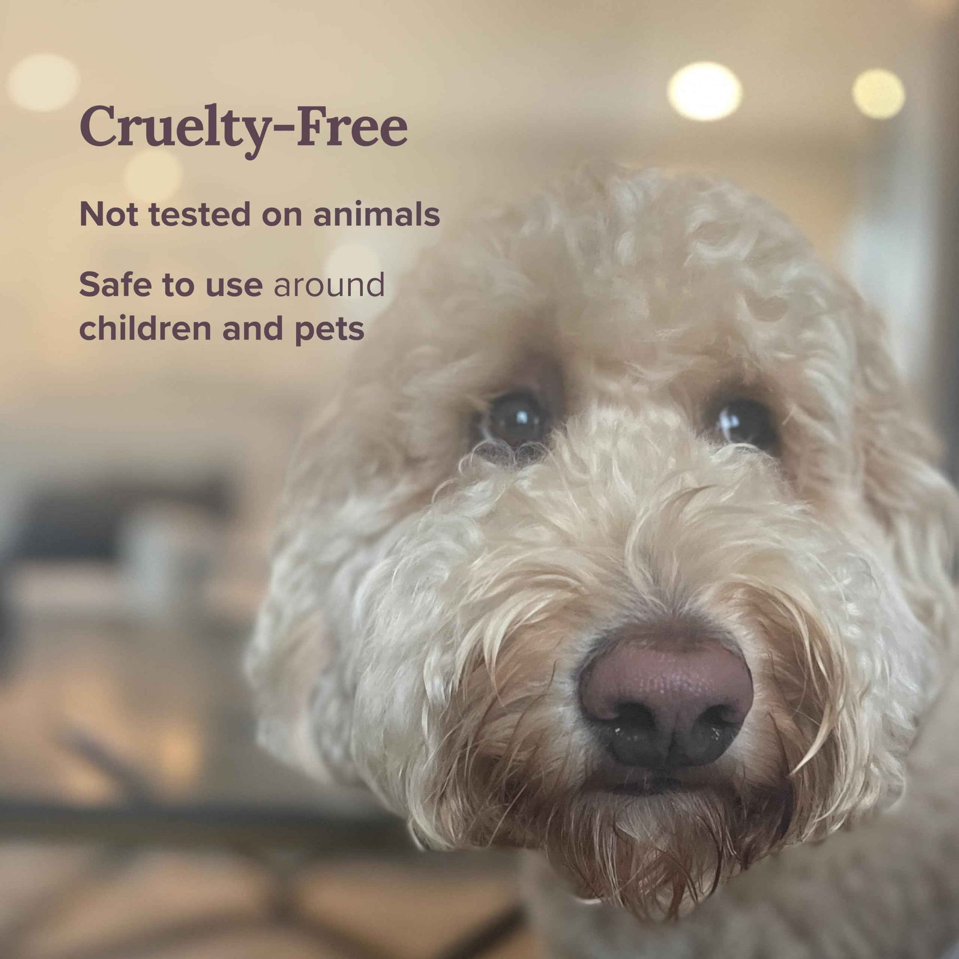 Magnificent 101 Set of 3 Long Lasting Pure Sage Smudge Candles - 42 Hour Burn, 3.5 Oz Each, Made with Soy Wax and Herb, Ideal for House Energy Cleansing, Meditation & Manifestation