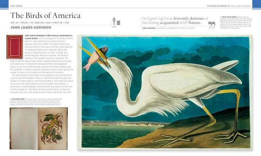 Remarkable Books: The World's Most Historic and Significant Works (DK History Changers)