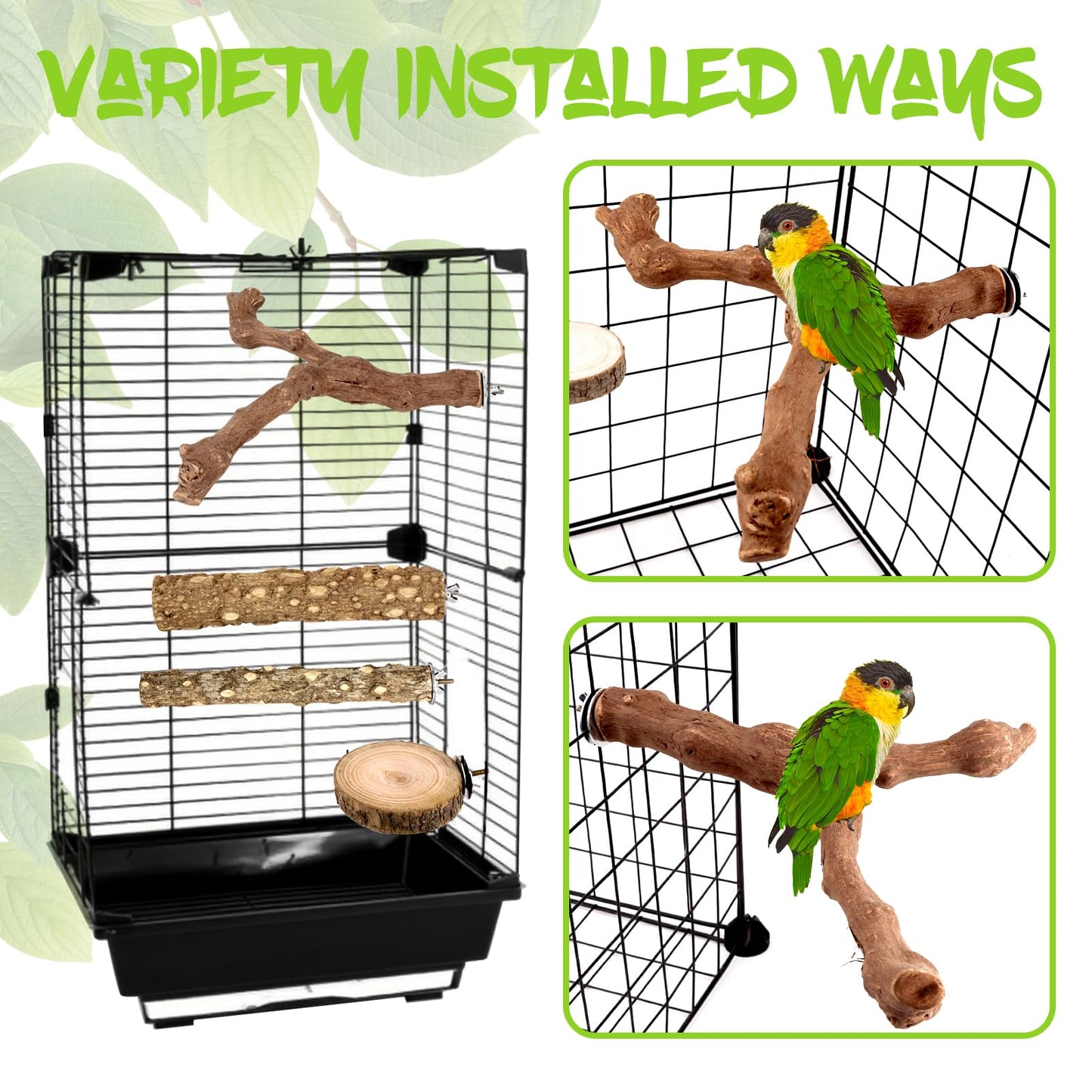 Natural Wood Bird Perches for Cage, Parrot Perch Stand & Platform, Bird Cage Accessories for Parakeets, Cockatiels, Conures, Lovebirds (Brown, Core Perch & Platform - 8PCS)