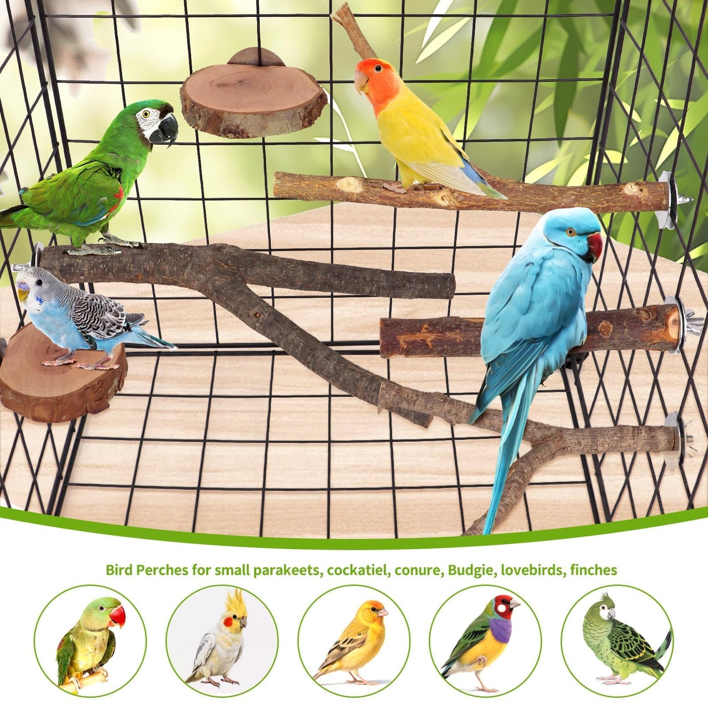 Natural Wood Bird Perches for Cage, Parrot Perch Stand & Platform, Bird Cage Accessories for Parakeets, Cockatiels, Conures, Lovebirds (Brown, Core Perch & Platform - 8PCS)