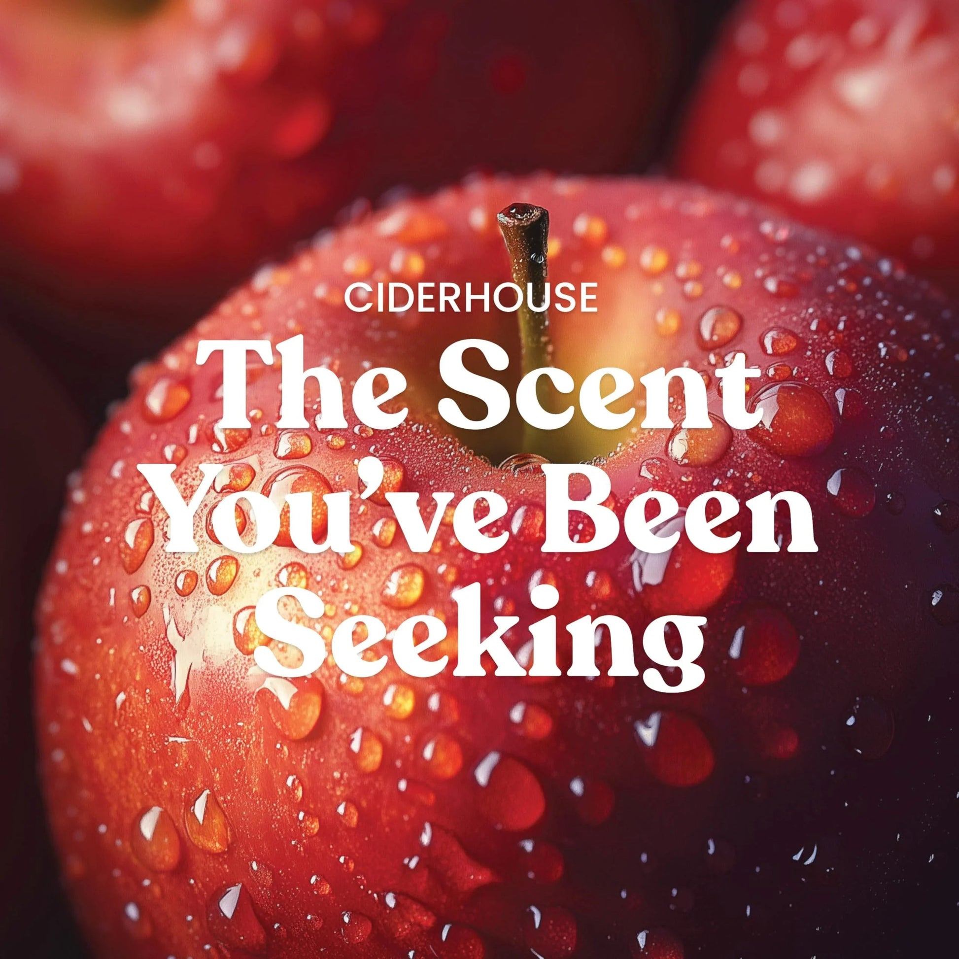 Yankee Candle Autumn Wreath, Fall Scented Candle, 22oz Large Jar with up to 150 Hour Burn Time jlhbookstore.store