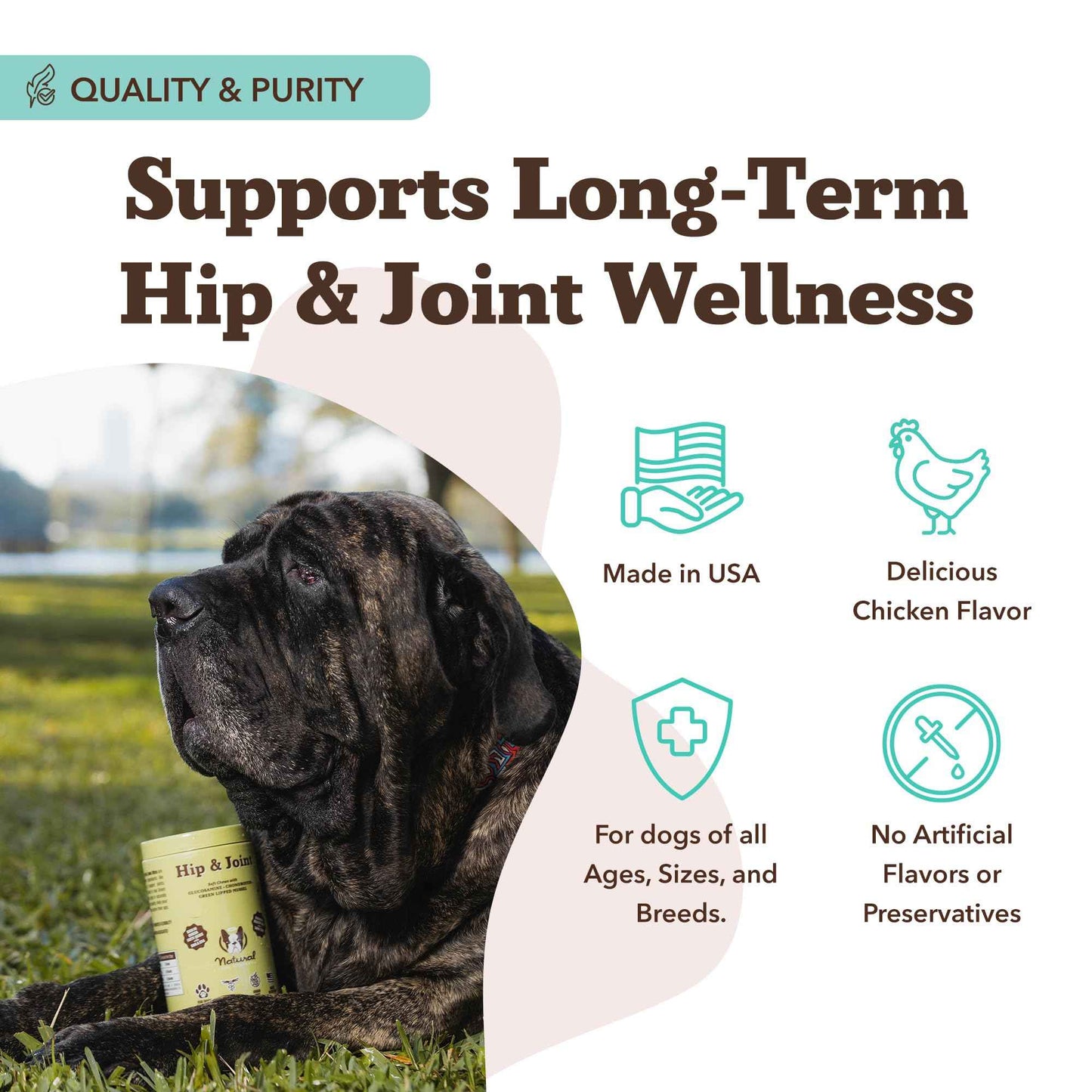 Natural Dog Company Liquid Glucosamine Hip & Joint Oil for Dogs, 16 oz, Extra Strength Cartilage & Joint Support, Helps Mobility and Eases Occasional Stiffness, Dog Vitamins & Supplements