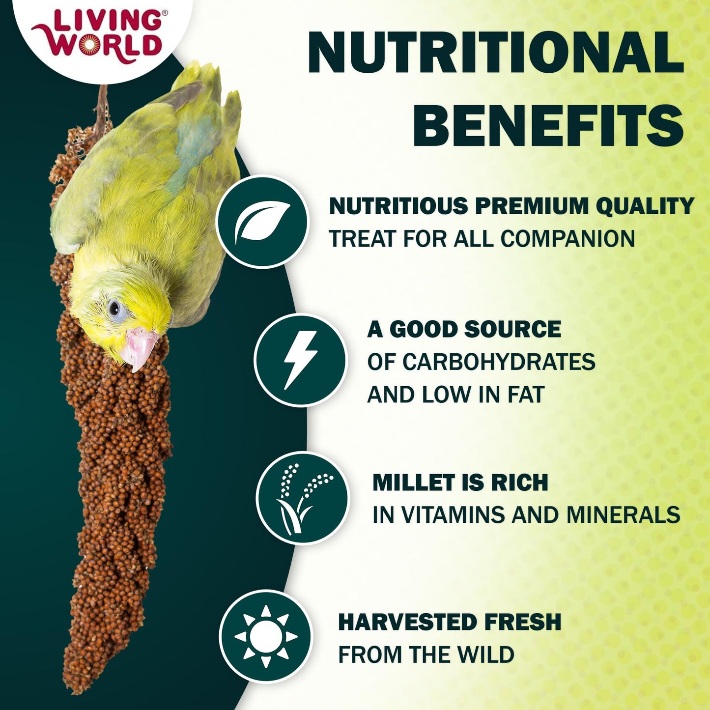 Living World - Millet Spray for Birds, 3.5 Oz – Premium Treat for Budgies, Canaries, Finches, Cockatiels and Other Pet Birds