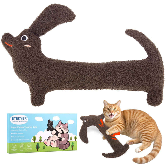 Catnip Cat Toys, Safe Teeth Cleaning Cat Nip Toys for Indoor Kitten Kitty,Interactive Plush Cat Chew Kicker Toys, 5 Pack, Vegetable Shape