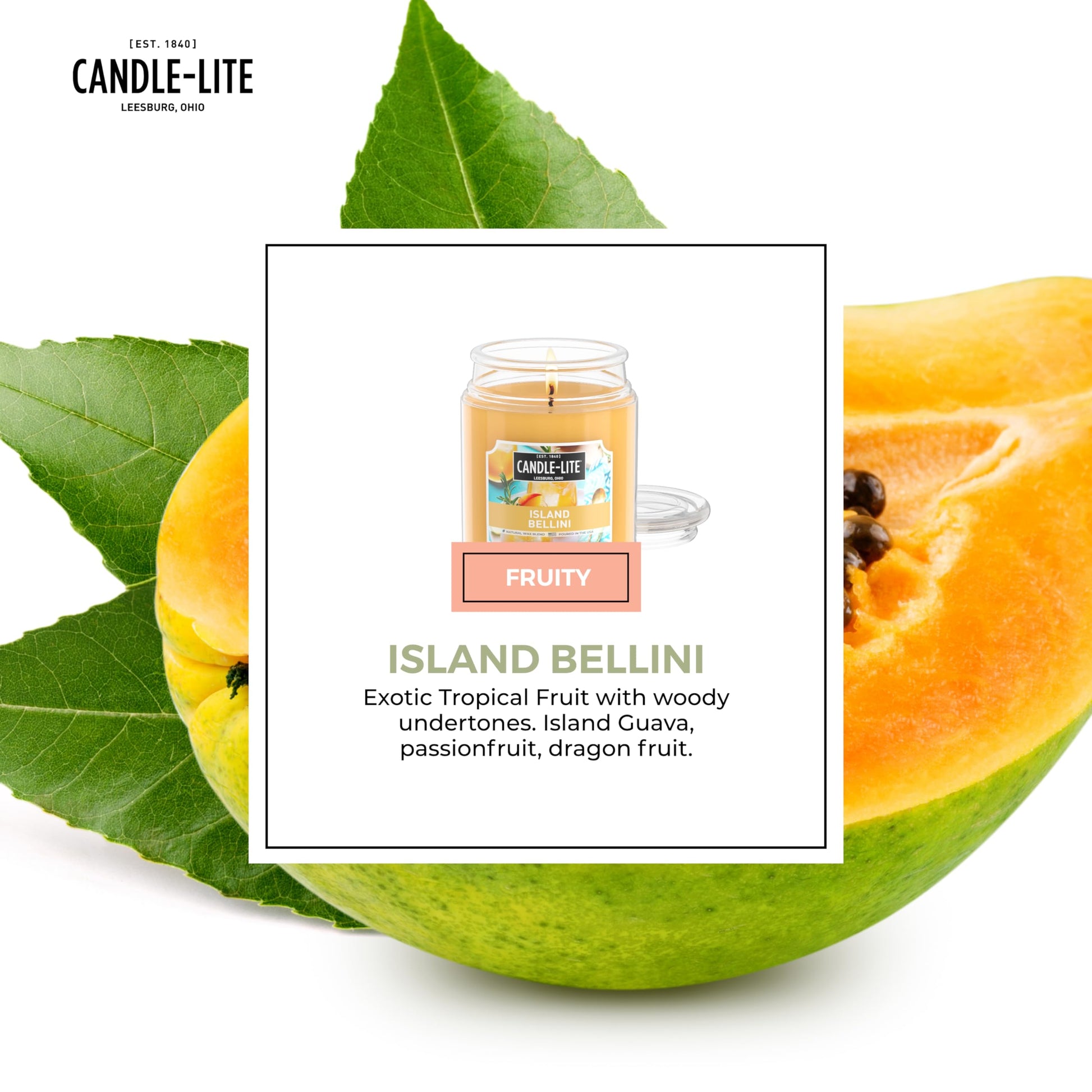 Candle-lite Fall Scented Candles, Creamy Vanilla Swirl, 18 oz Jar, Proudly Poured in The USA, Aromatherapy Candle, Single-Wick with 110 Hours of Burn Time, Perfect for Creating a Relaxing Ambiance jlhbookstore.store