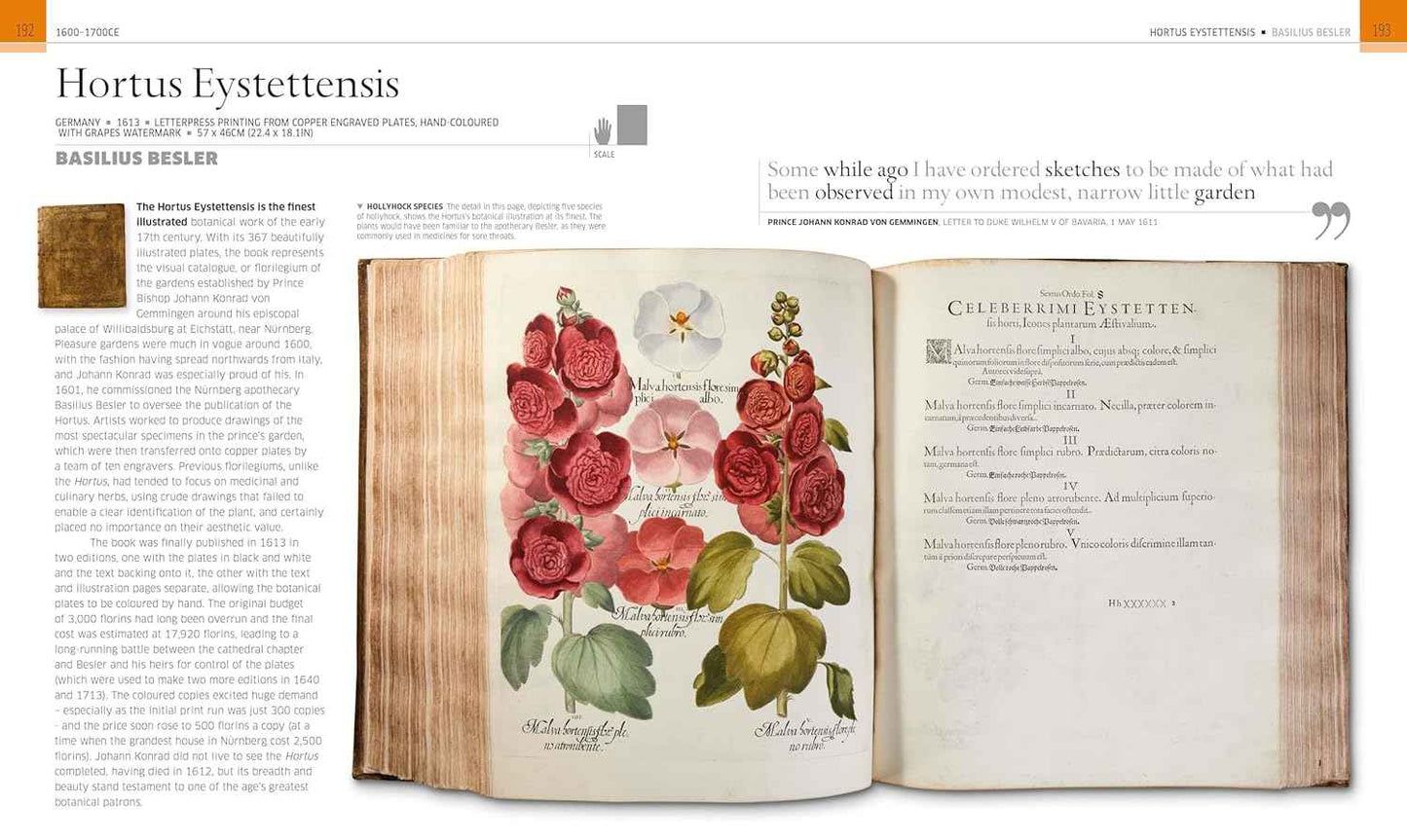 Remarkable Books: The World's Most Historic and Significant Works (DK History Changers)