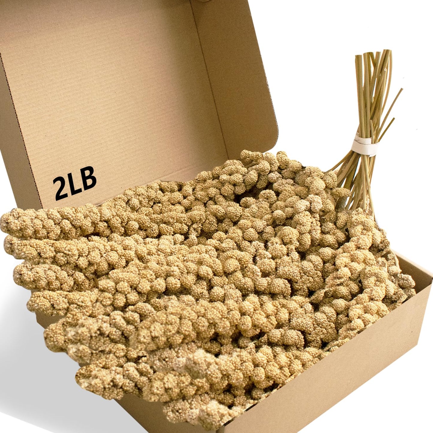 Jmxu's Spray Millet Treat for Birds Parakeets, Natural Sun-Dried Birds Millet for Cockatiel, Budgie, Finches, Parrots, Hamster