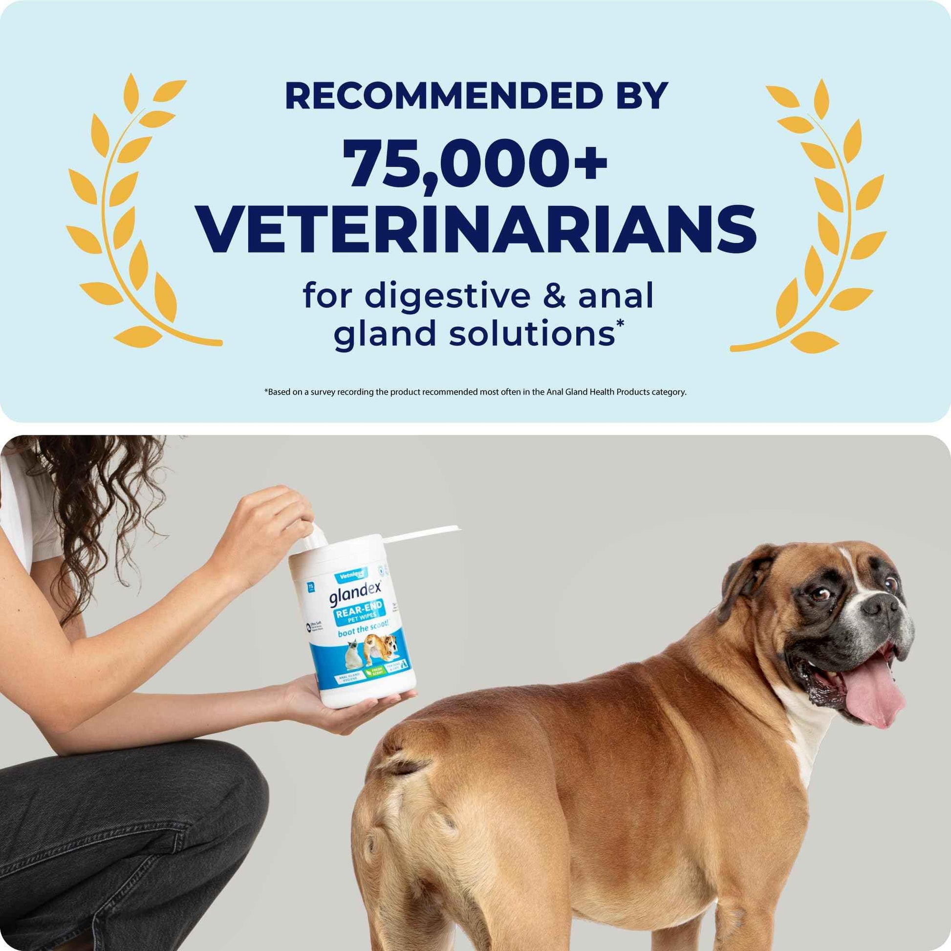 Vetnique Glandex Dog Wipes for Pets Cleansing & Deodorizing Anal Gland Hygienic Dog & Cat Wipes with Vitamin E, Skin Conditioners and Aloe (75ct)