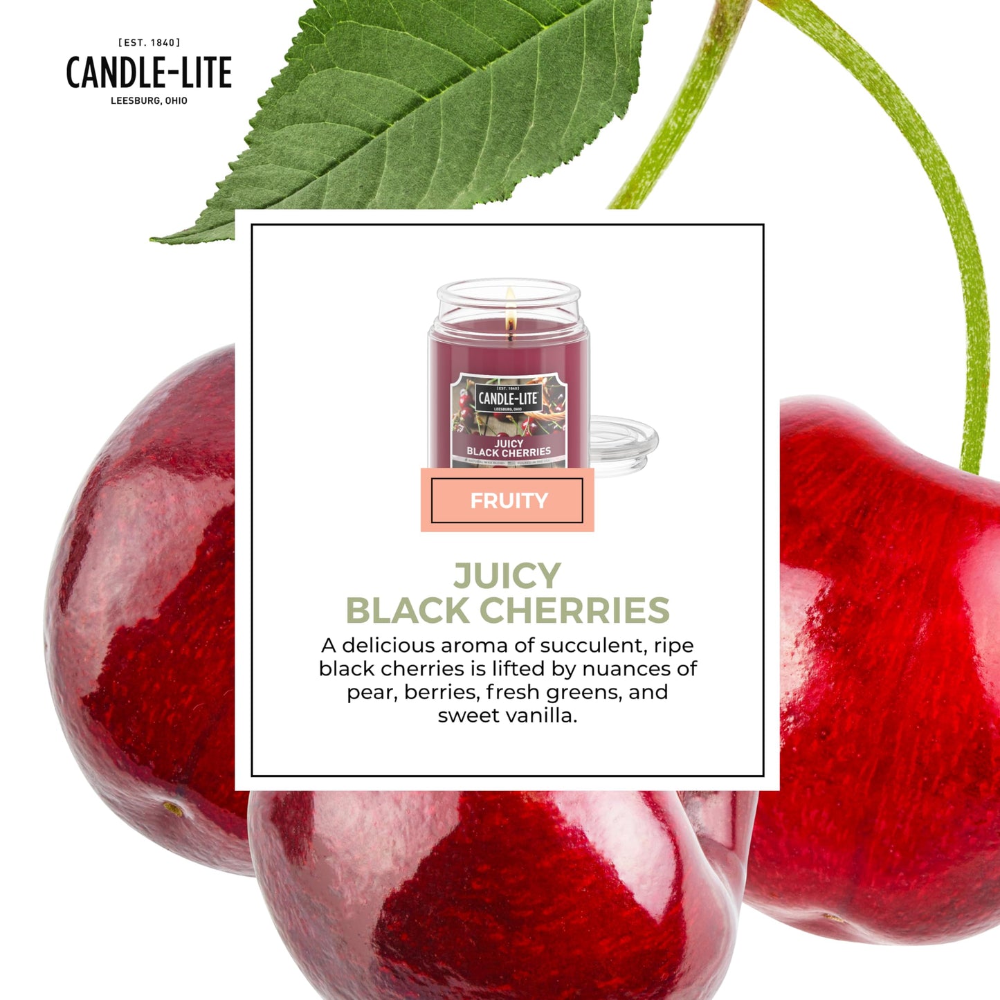 Candle-lite Fall Scented Candles, Creamy Vanilla Swirl, 18 oz Jar, Proudly Poured in The USA, Aromatherapy Candle, Single-Wick with 110 Hours of Burn Time, Perfect for Creating a Relaxing Ambiance jlhbookstore.store