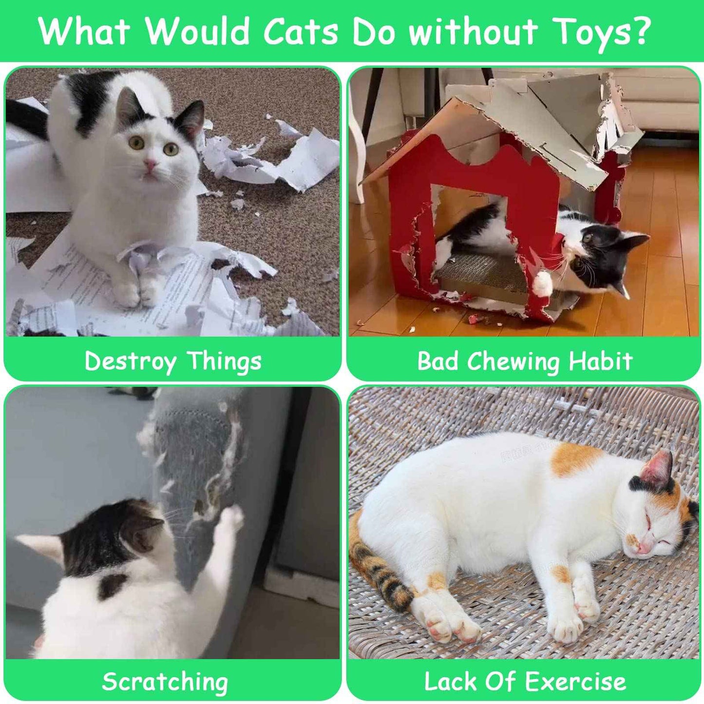 Catnip Cat Toys, Safe Teeth Cleaning Cat Nip Toys for Indoor Kitten Kitty,Interactive Plush Cat Chew Kicker Toys, 5 Pack, Vegetable Shape