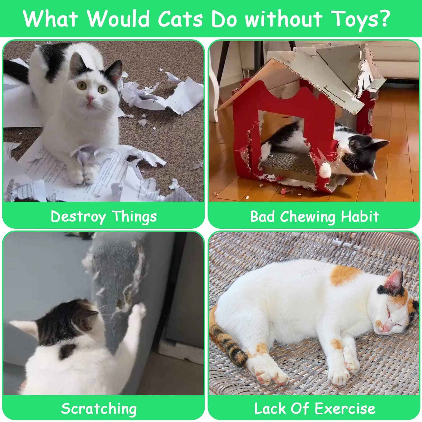 Catnip Cat Toys, Safe Teeth Cleaning Cat Nip Toys for Indoor Kitten Kitty,Interactive Plush Cat Chew Kicker Toys, 5 Pack, Vegetable Shape