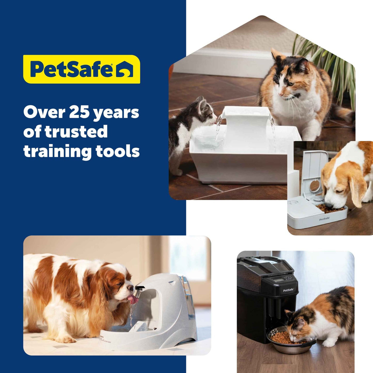 PetSafe Automatic Dog Feeder, 5 Meals, 40 oz Capacity, Plastic, for Dry Food, Multiple Pets