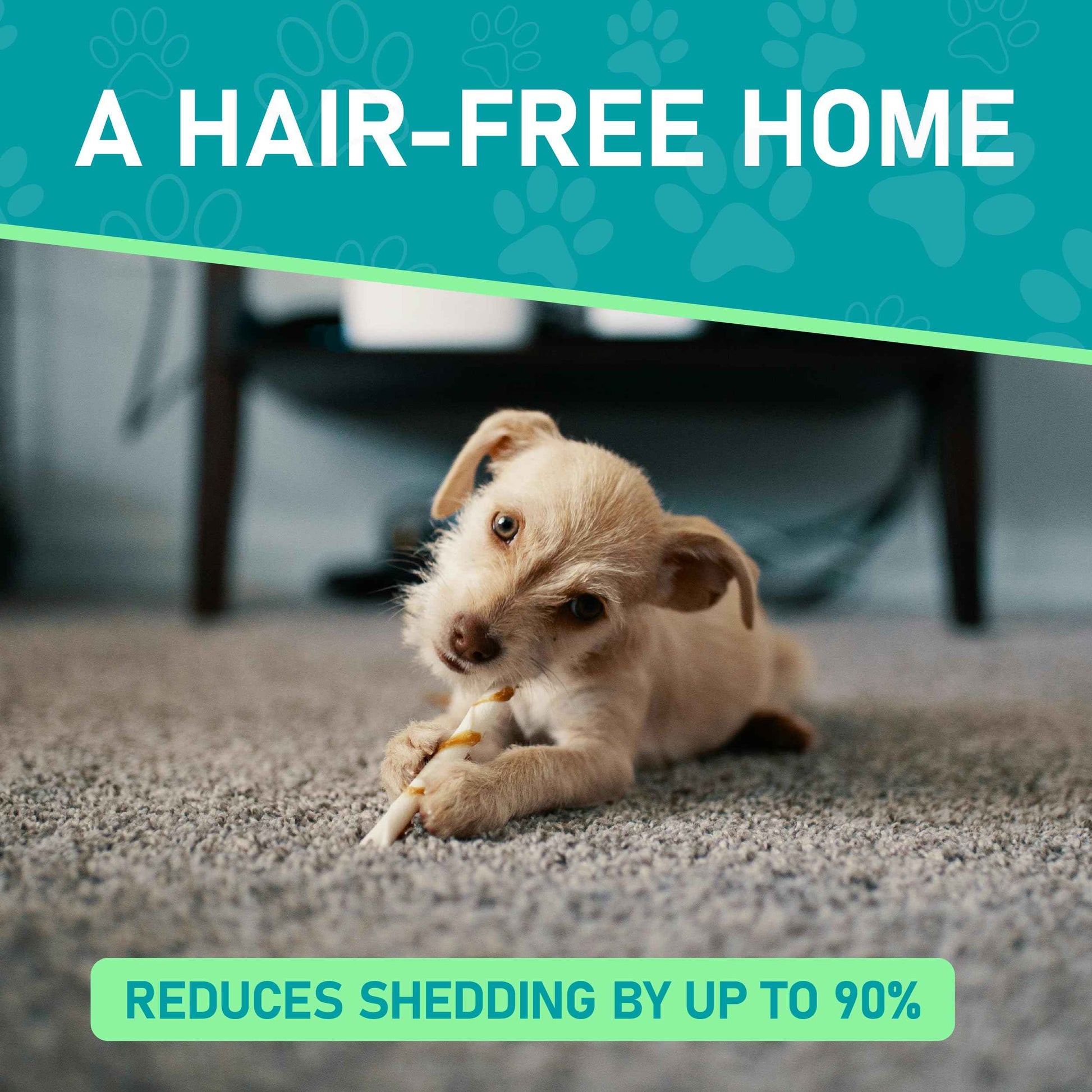 Maxpower Planet Pet Grooming Brush - Double Sided Shedding and Dematting Undercoat Rake Comb for Dogs and Cats,Extra Wide (B1 - Rake, Gloves & Comb, Large)