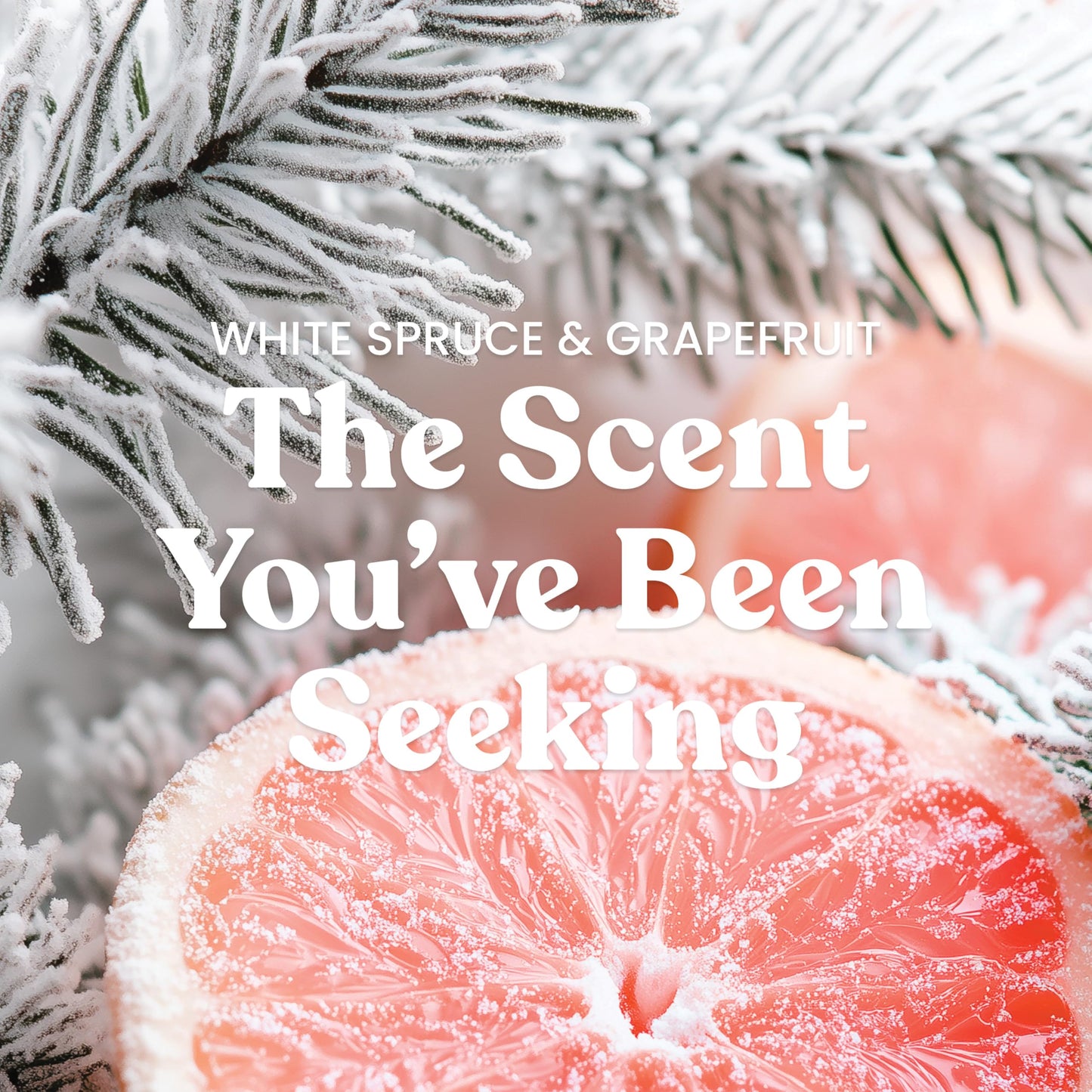 Yankee Candle Mid Summer's Night Scented Candle, 22oz Large Jar with up to 150 Hour Burn, Giftable jlhbookstore.store