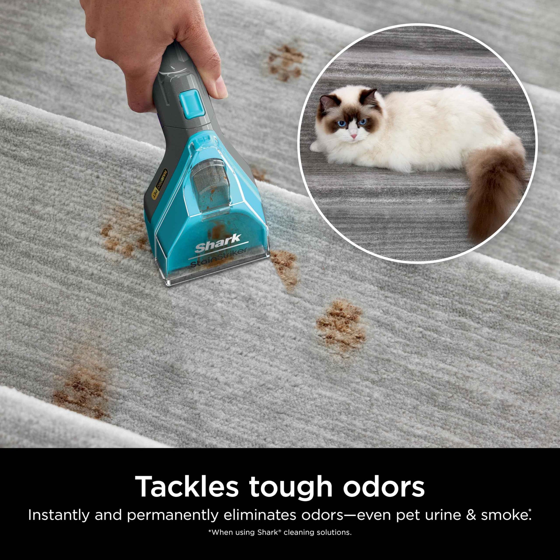 Shark StainStriker Pet Bundle for All StainStriker Portable Carpet Cleaners, Includes 32oz OXY Multiplier formula and 16oz Deep Clean Pet formula, PXCPBUNDLE