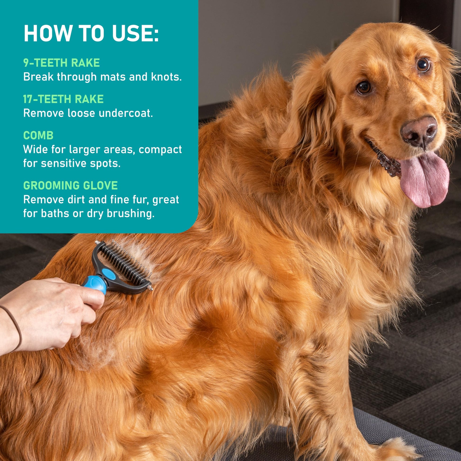 Maxpower Planet Pet Grooming Brush - Double Sided Shedding and Dematting Undercoat Rake Comb for Dogs and Cats,Extra Wide (B1 - Rake, Gloves & Comb, Large) jlhbookstore.store