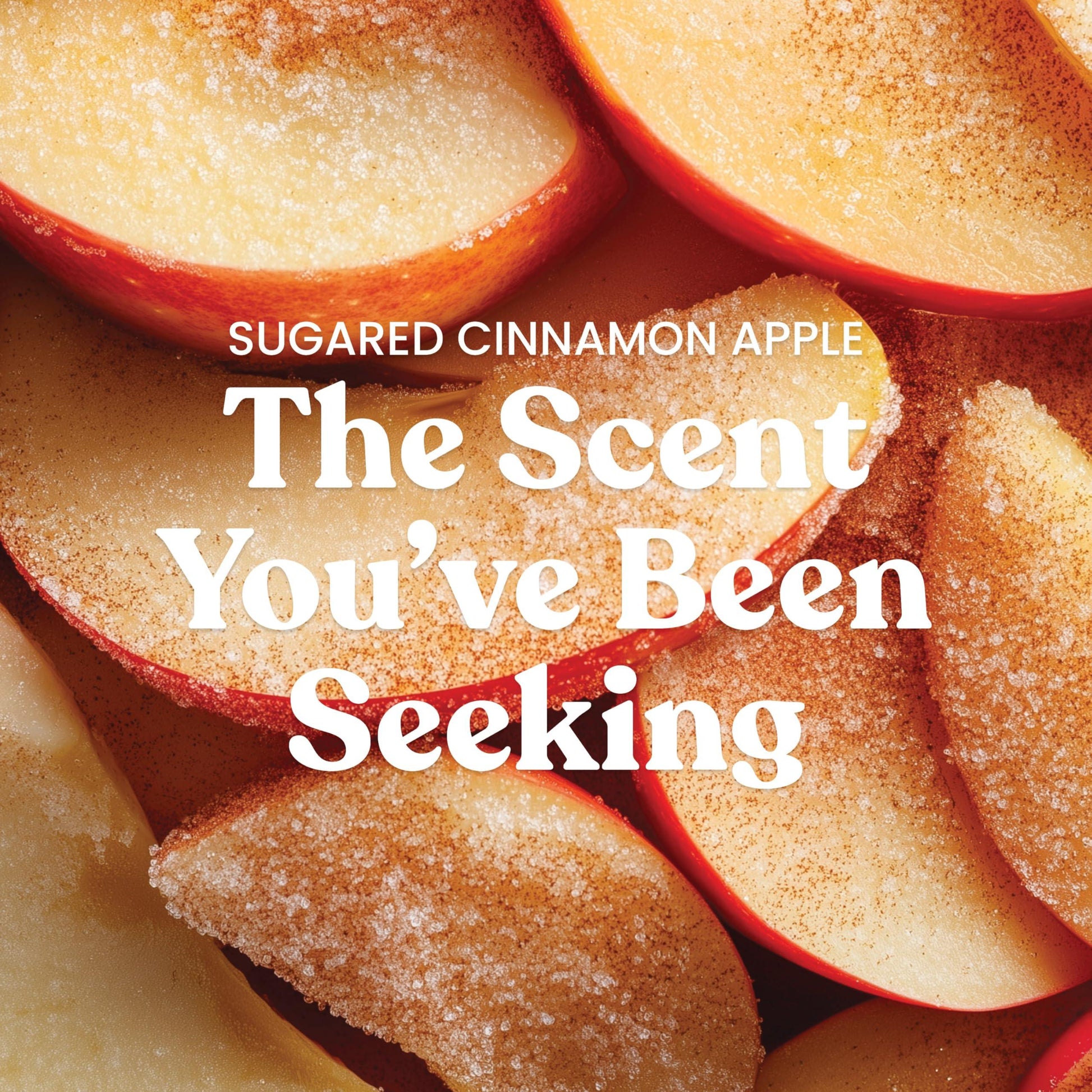 Yankee Candle Autumn Wreath, Fall Scented Candle, 22oz Large Jar with up to 150 Hour Burn Time jlhbookstore.store