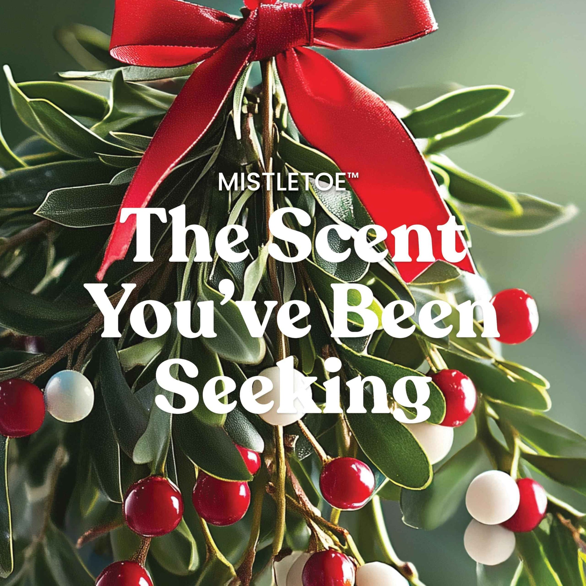 Yankee Candle, Balsam & Cedar Fall Scented Candle, 22oz Large Jar with up to 150 Hour Burn Time