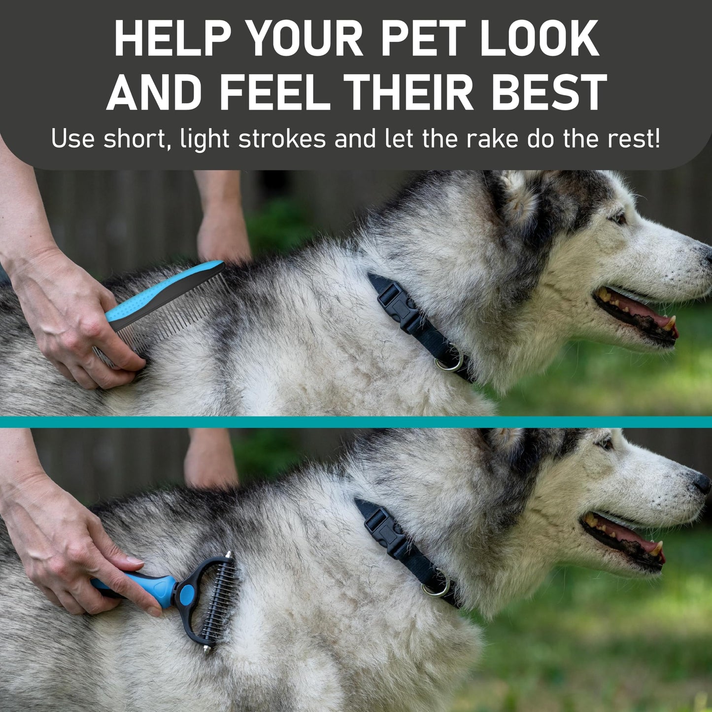 Maxpower Planet Pet Grooming Brush - Double Sided Shedding and Dematting Undercoat Rake Comb for Dogs and Cats,Extra Wide (B1 - Rake, Gloves & Comb, Large) jlhbookstore.store