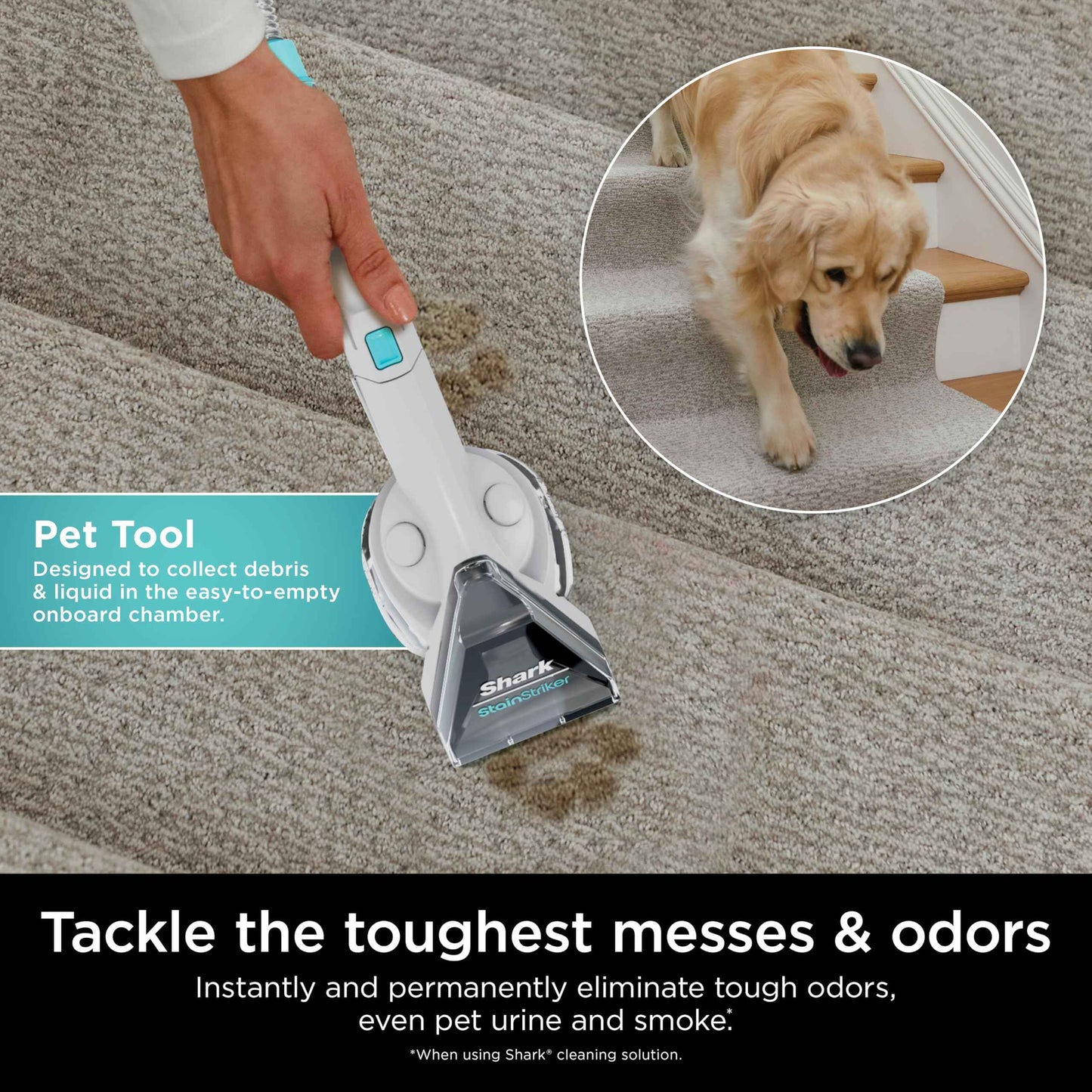 Shark StainStriker Pet Bundle for All StainStriker Portable Carpet Cleaners, Includes 32oz OXY Multiplier formula and 16oz Deep Clean Pet formula, PXCPBUNDLE