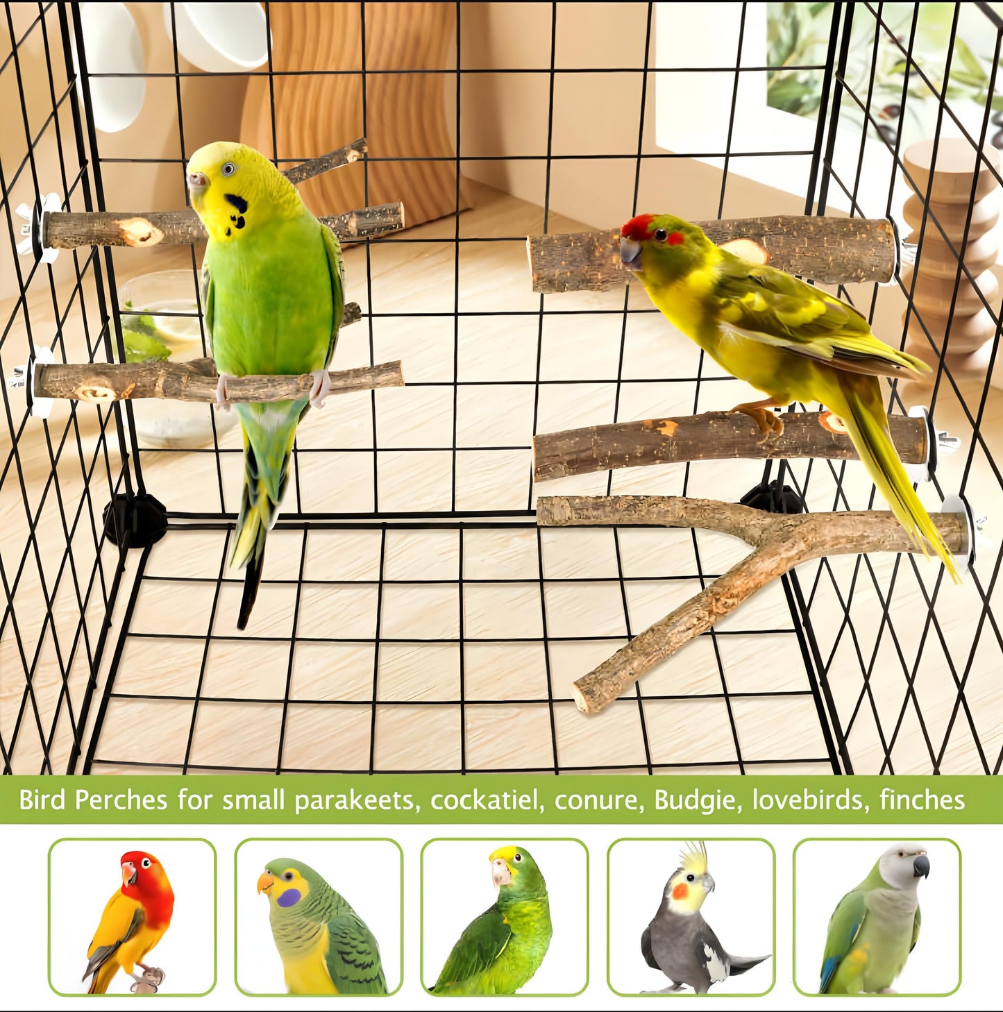 Natural Wood Bird Perches for Cage, Parrot Perch Stand & Platform, Bird Cage Accessories for Parakeets, Cockatiels, Conures, Lovebirds (Brown, Core Perch & Platform - 8PCS)