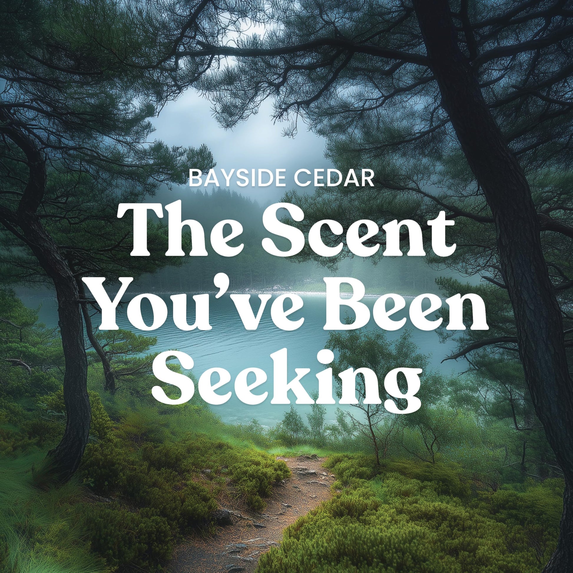 Yankee Candle Mid Summer's Night Scented Candle, 22oz Large Jar with up to 150 Hour Burn, Giftable jlhbookstore.store