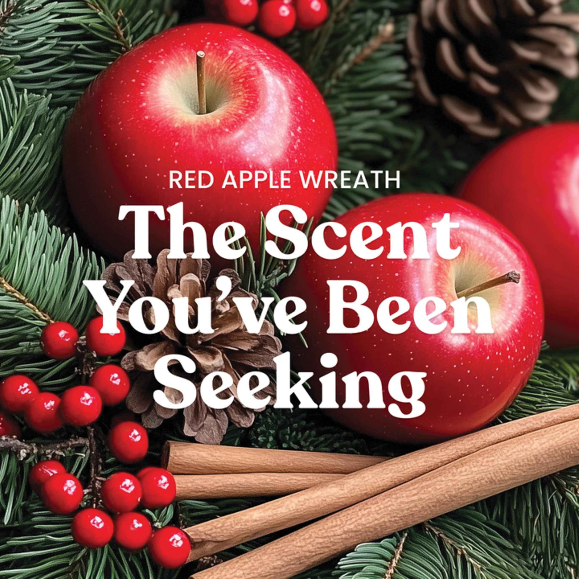 Yankee Candle, Balsam & Cedar Fall Scented Candle, 22oz Large Jar with up to 150 Hour Burn Time