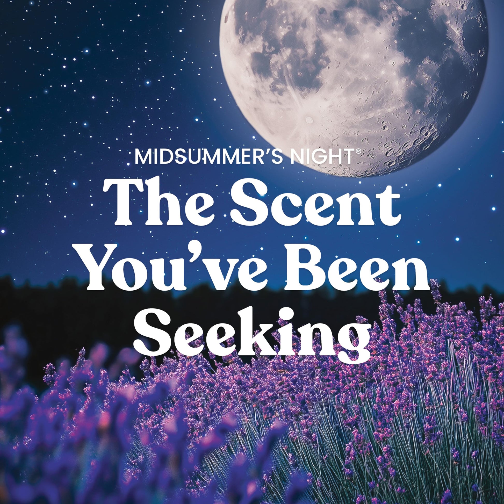 Yankee Candle Mid Summer's Night Scented Candle, 22oz Large Jar with up to 150 Hour Burn, Giftable jlhbookstore.store