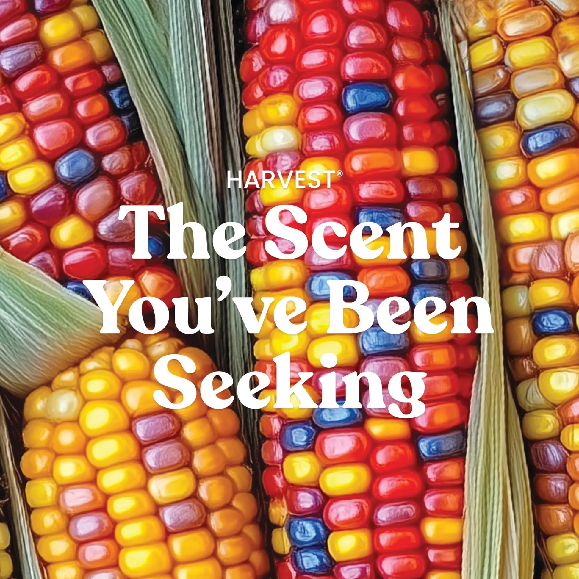 Yankee Candle Autumn Wreath, Fall Scented Candle, 22oz Large Jar with up to 150 Hour Burn Time - Jlhbookstore.store