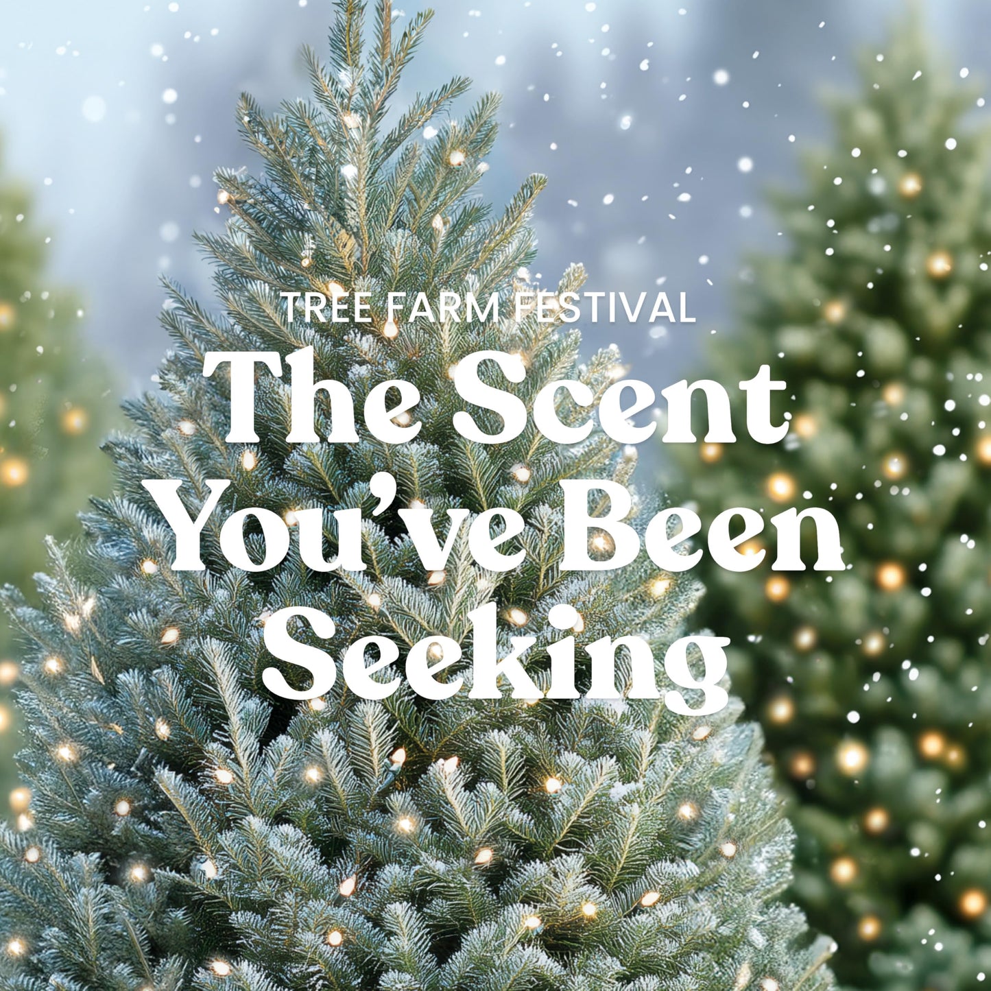 Yankee Candle, Balsam & Cedar Fall Scented Candle, 22oz Large Jar with up to 150 Hour Burn Time jlhbookstore.store