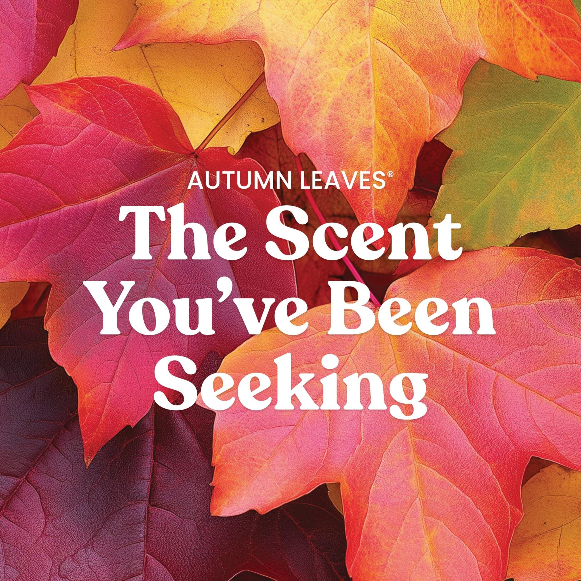 Yankee Candle Autumn Wreath, Fall Scented Candle, 22oz Large Jar with up to 150 Hour Burn Time jlhbookstore.store