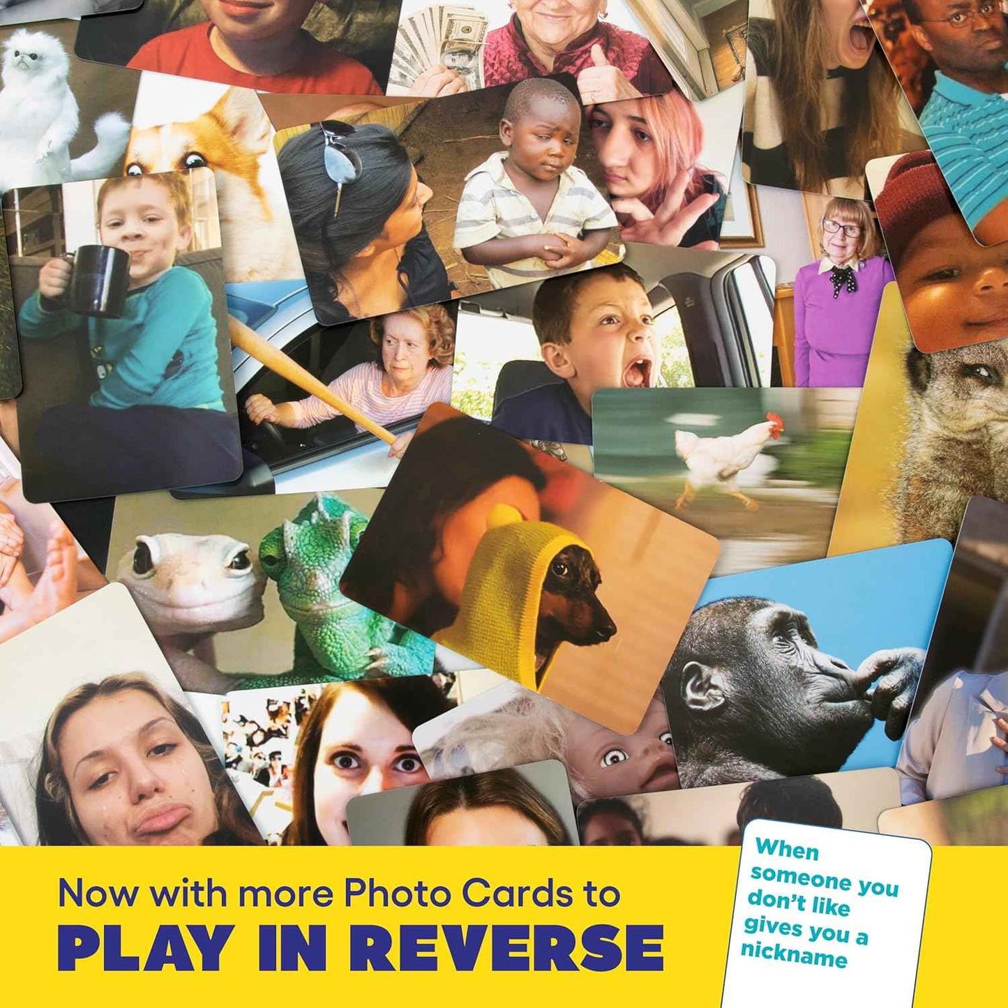 WHAT DO YOU MEME? Family Edition by Relatable, Family Games for Kids 8+, The TikTok Viral, Includes 300 Caption Cards, 108 Photo Cards, Stocking Stuffers Idea for Families