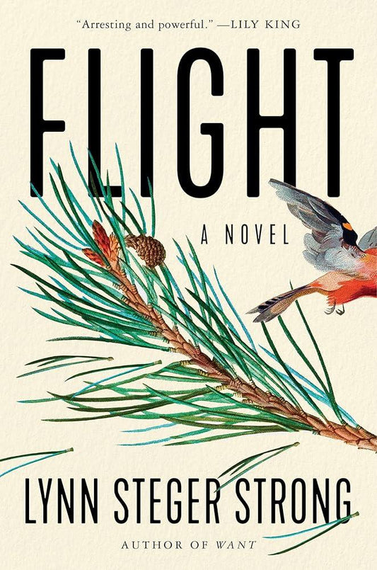 Flight: A Novel cover image