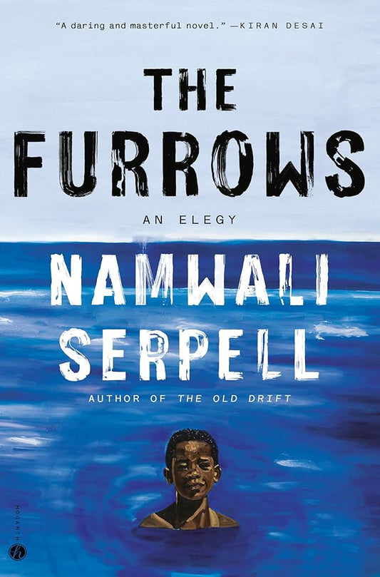 The Furrows: A Novel cover image