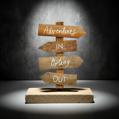 Adventures in Opting Out: Your Essential Intentional Living Guide by Cait Flanders - Jlhbookstore.store